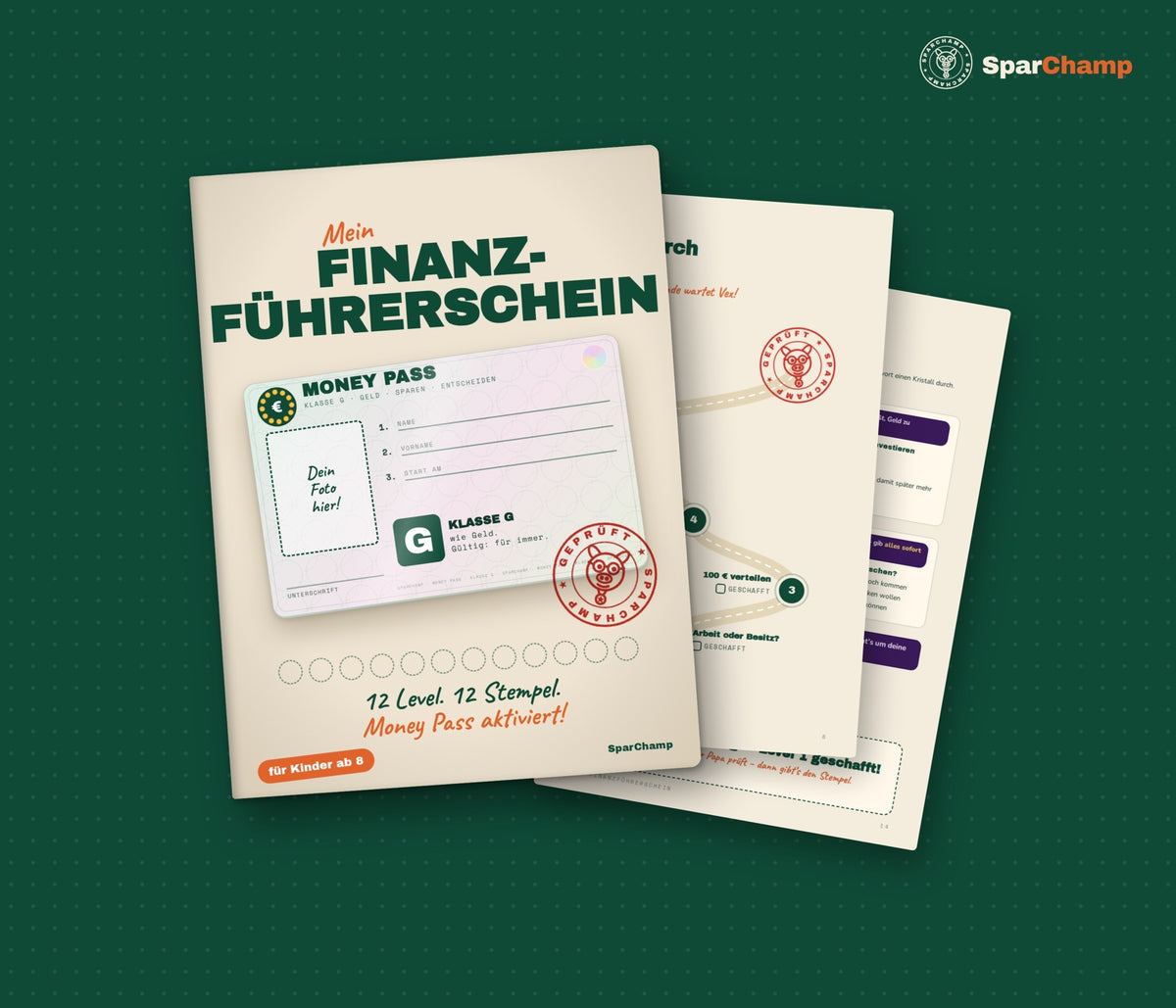 Finanzführerschein für Kinder